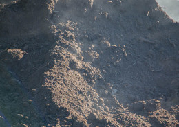 A1 Dug Top Soil